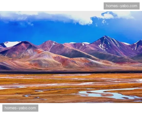 乌兹别克斯坦等四支新军 首次入围将给强队带来未知挑战